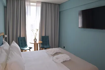 arethusa-hotel_athens-greece_acropollis-view_double-room_02_original_resize