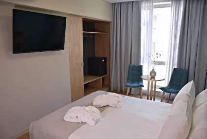 arethusa-hotel_athens-greece_superior-double-room_02_original