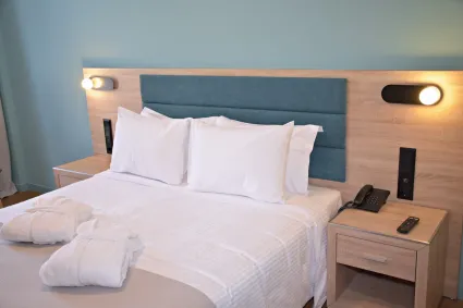 arethusa-hotel_athens-greece_superior-double-room_03_original