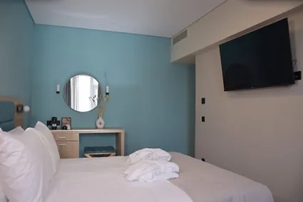 arethusa-hotel_athens-greece_superior-double-room_04_original