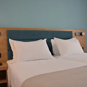 arethusa-hotel_athens-greece_acropollis-view_double-room_03_original_resize