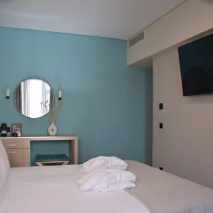 arethusa-hotel_athens-greece_superior-double-room_04_original